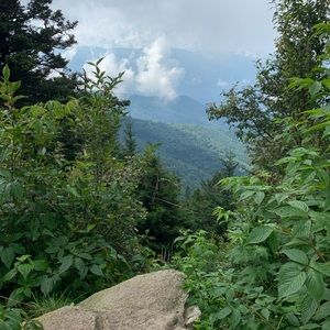 Meet your Posher, Samuel